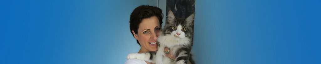 Minou Cornils, Vier Pfoten Tierheilpraxis für Katzen